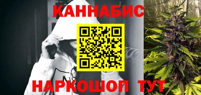 a pvp Камышлов
