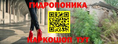 a pvp Камышлов