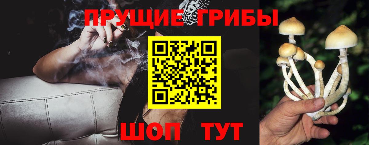 Псилоцибиновые грибы мицелий  Вход с VPN  Псилоцибиновые грибы MAGIC MUSHROOMS  Кулебаки 